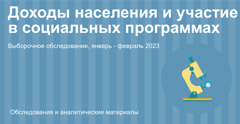 Выборочное наблюдение доходов населения и участия в социальных программах во Владимирской области в 2023 году